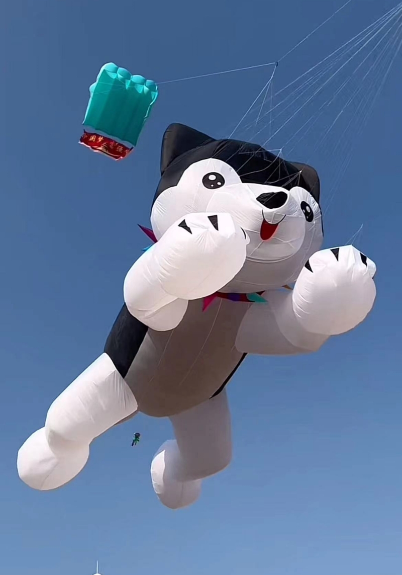 Giant kites flying inflatable  - Kite Wind Outdoor ulasan dan harga