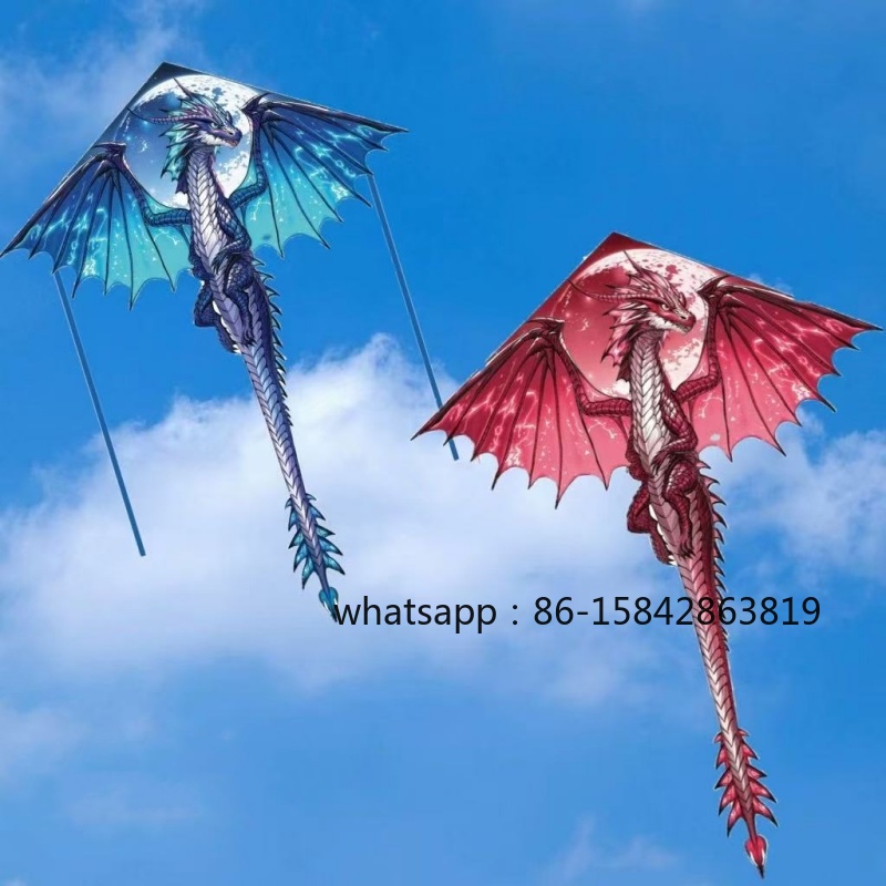 New pterosaur kites flying pro - Kite Wind Outdoor ulasan dan harga