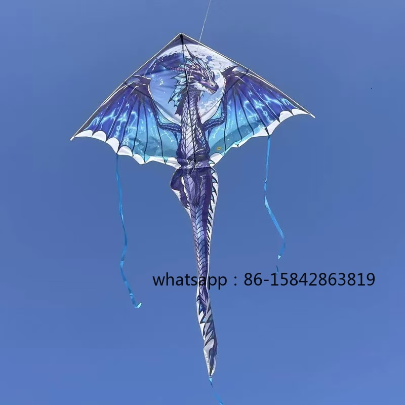 New pterosaur kites flying pro - Kite Wind Outdoor ulasan dan harga