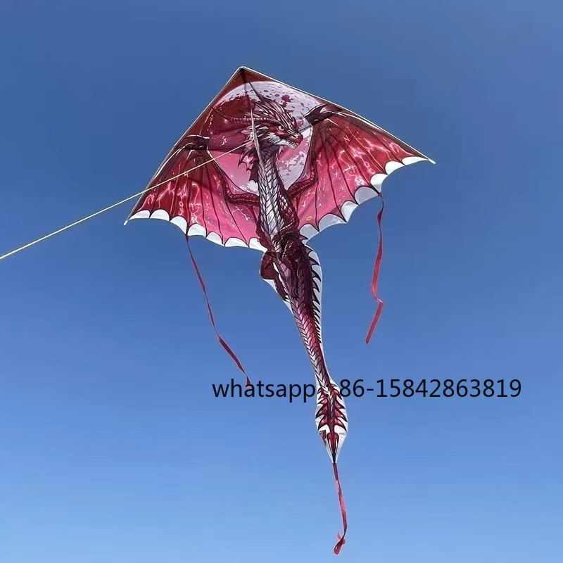 New pterosaur kites flying pro - Kite Wind Outdoor ulasan dan harga