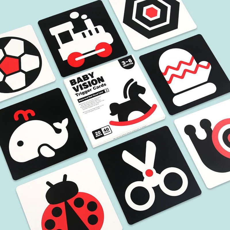Early Education Toys For Baby  - Educational Flash Card ulasan dan harga