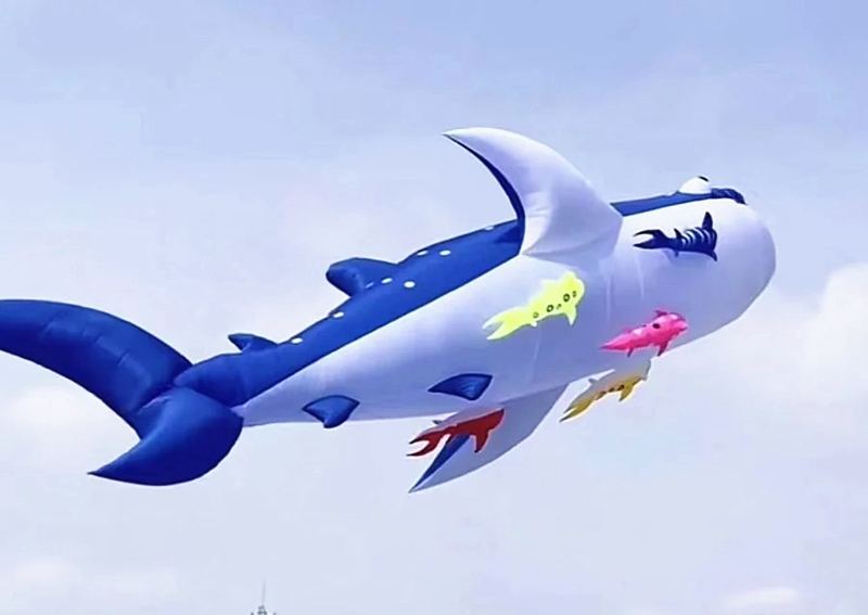 10m killer whale multi-color f - Kite Wind Outdoor ulasan dan harga