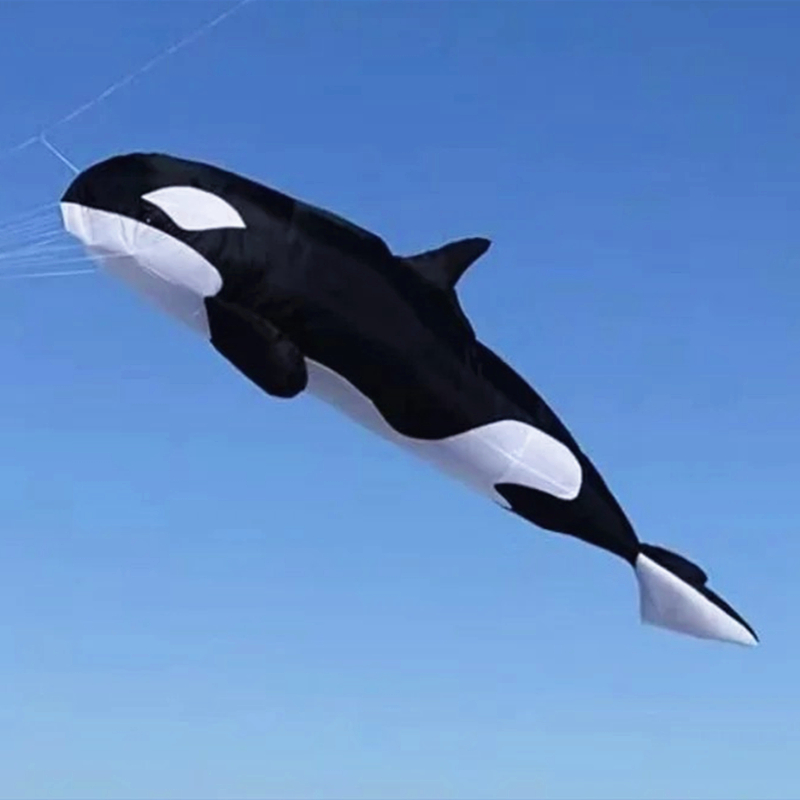 10m killer whale multi-color f - Kite Wind Outdoor ulasan dan harga